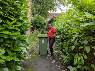 After hedge cut in Pennyland