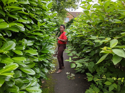 Nana in Pennyland before hedge cutting